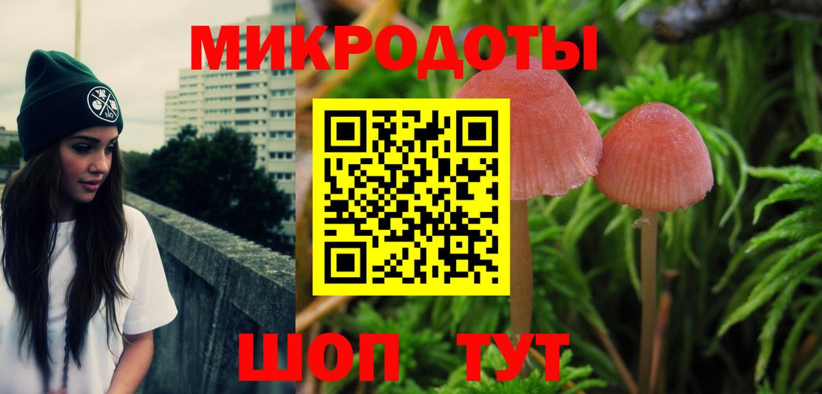 Гурьевск  Псилоцибиновые грибы GOLDEN TEACHER  магазин продажи   Вход с VPN  Галлюциногенные грибы мухоморы 