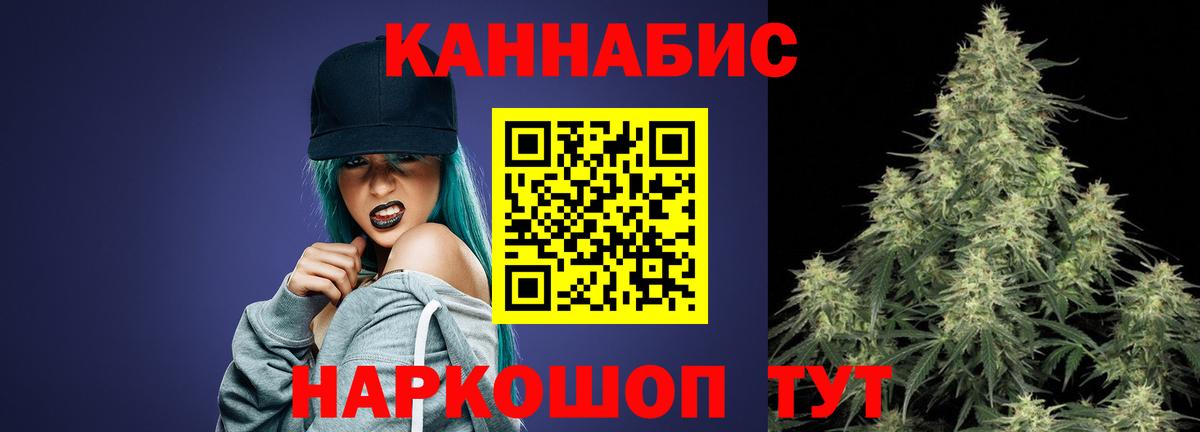 Каннабис планчик Гурьевск
